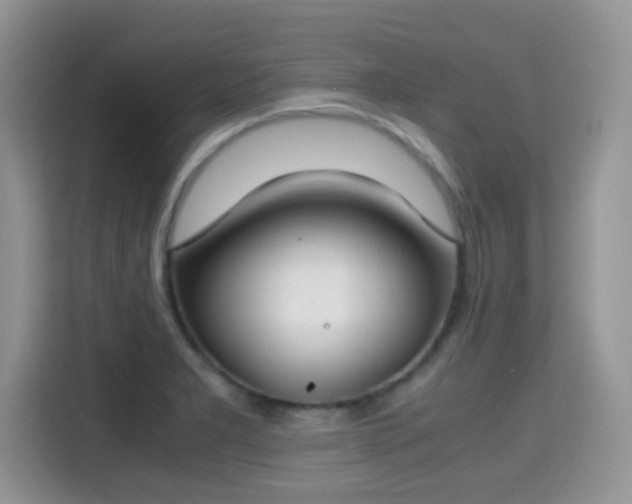 X0000115301277200911091005