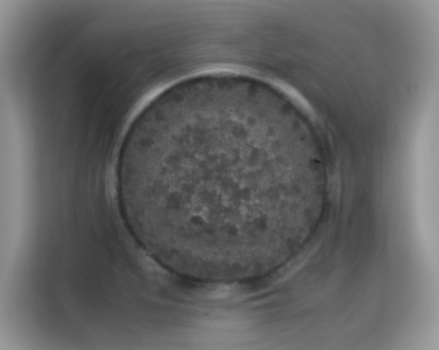 X0000115301279200911091005