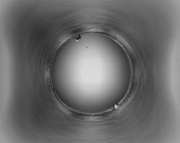 X0000115301281200911091005