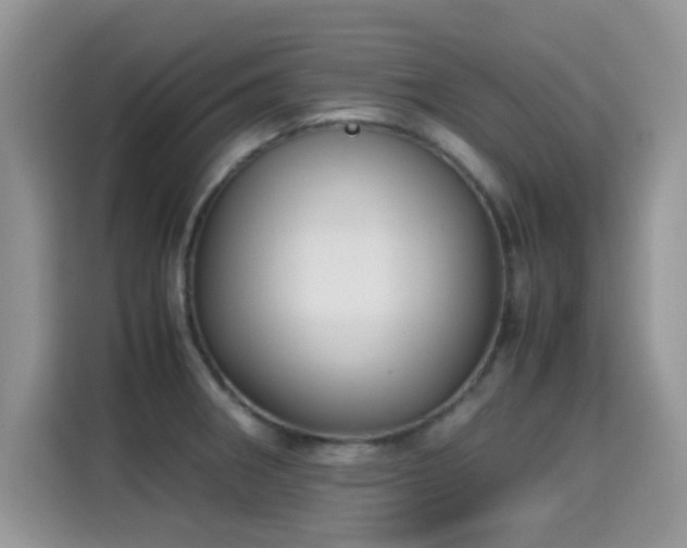 X0000115301282200911091005