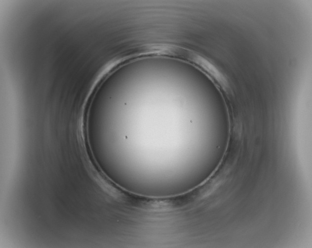X0000115301283200911091005