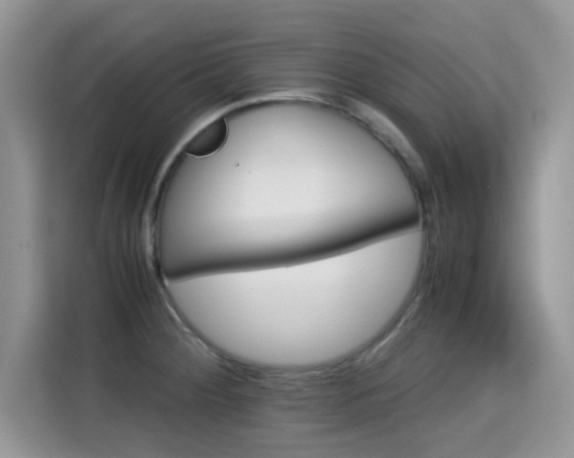 X0000115301284200911091005