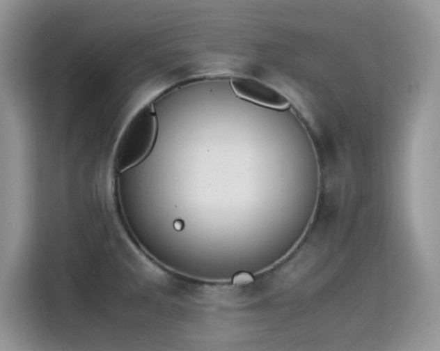 X0000115301285200911091005