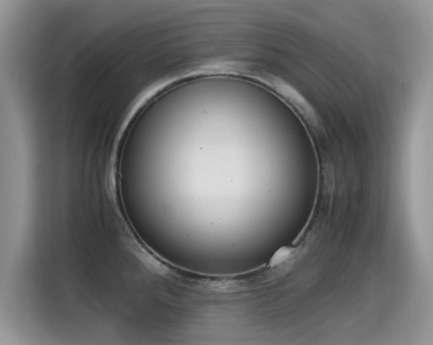 X0000115301288200911091005