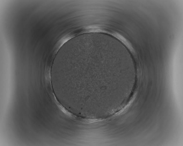X0000115301289200911091005