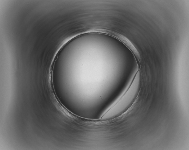 X0000115301292200911091004