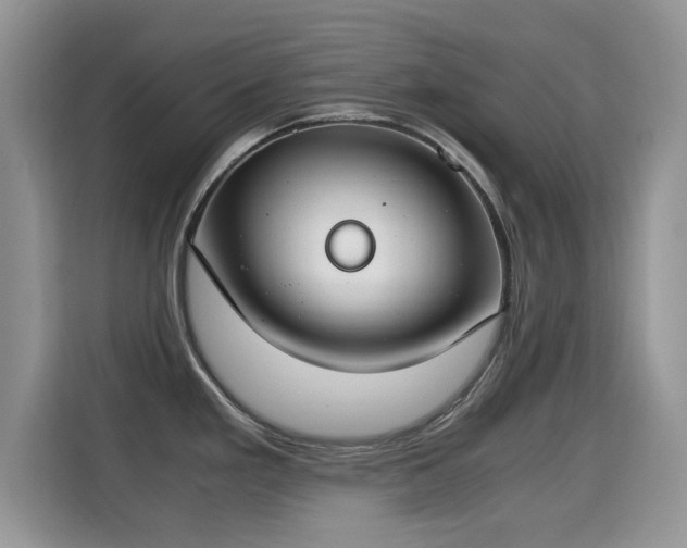 X0000115301293200911091004