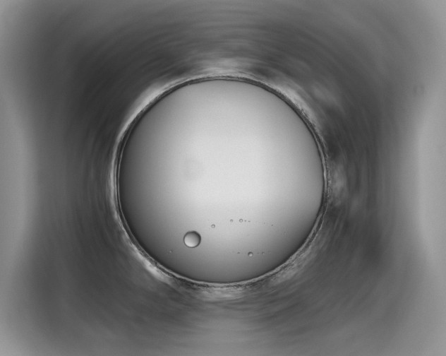 X0000115301294200911091004
