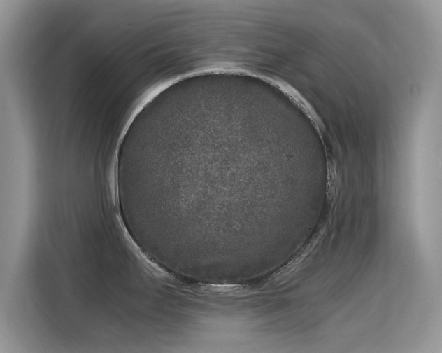X0000115301295200911091004
