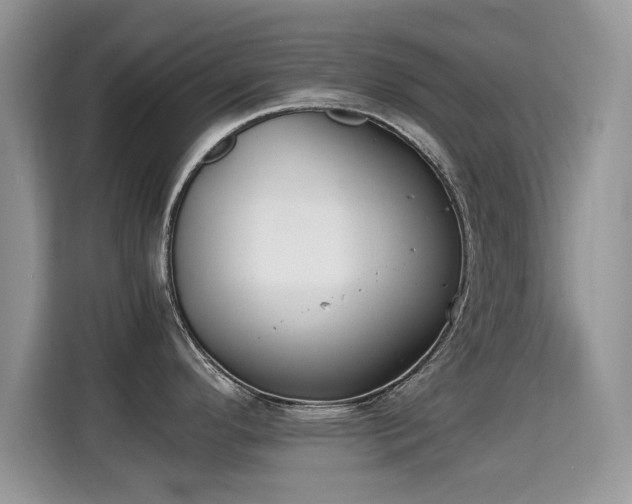 X0000115301296200911091004