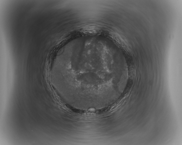 X0000115301297200911091004