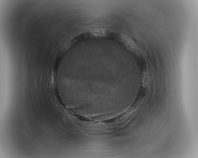 X0000115301298200911091004