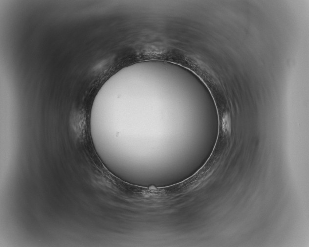 X0000115301299200911091004