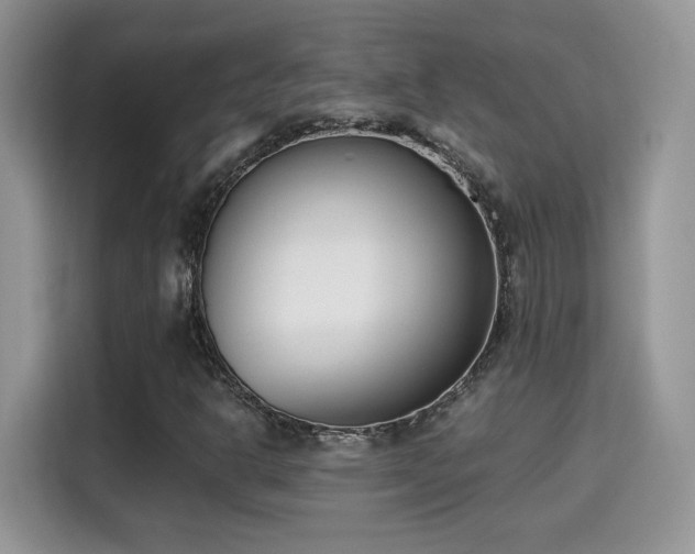 X0000115301302200911091004