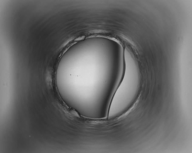 X0000115301305200911091004