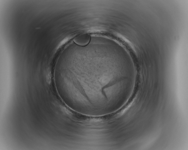 X0000115301306200911091004