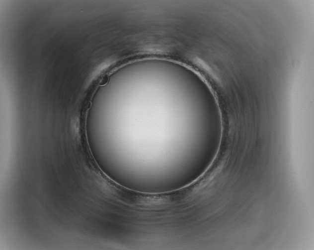 X0000115301307200911091004
