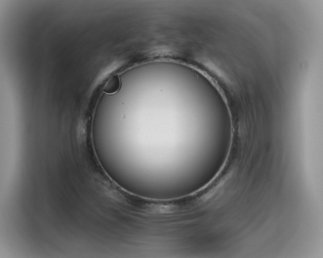 X0000115301309200911091004