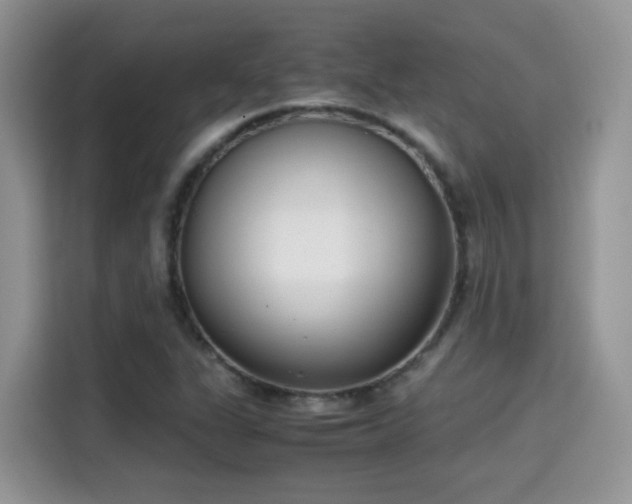 X0000115301311200911091004