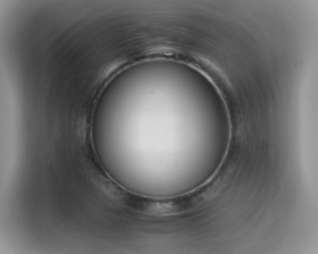 X0000115301313200911091004