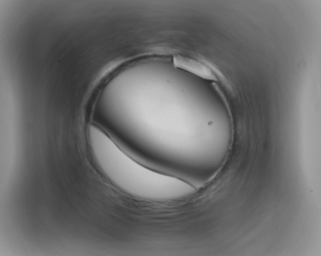 X0000115301315200911091004