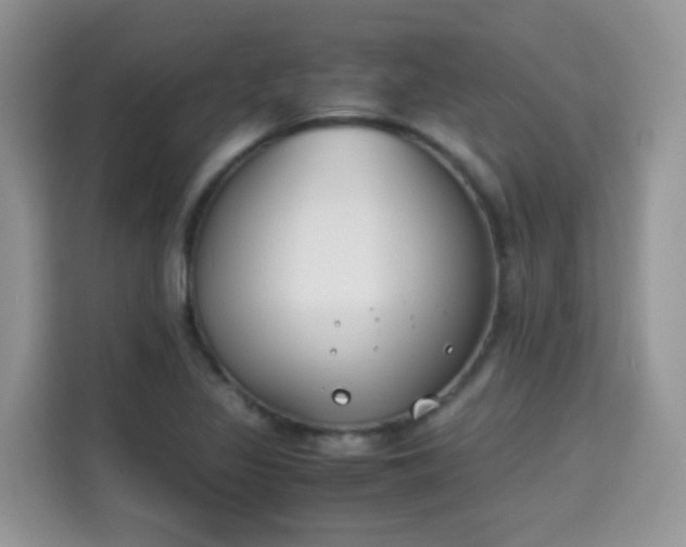 X0000115301317200911091004