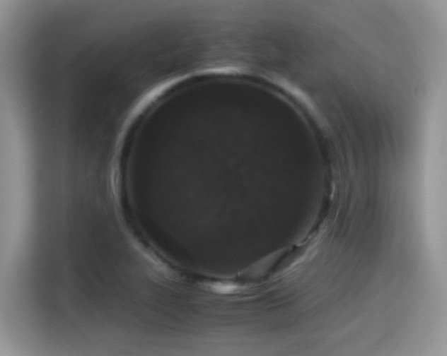X0000115301319200911091004