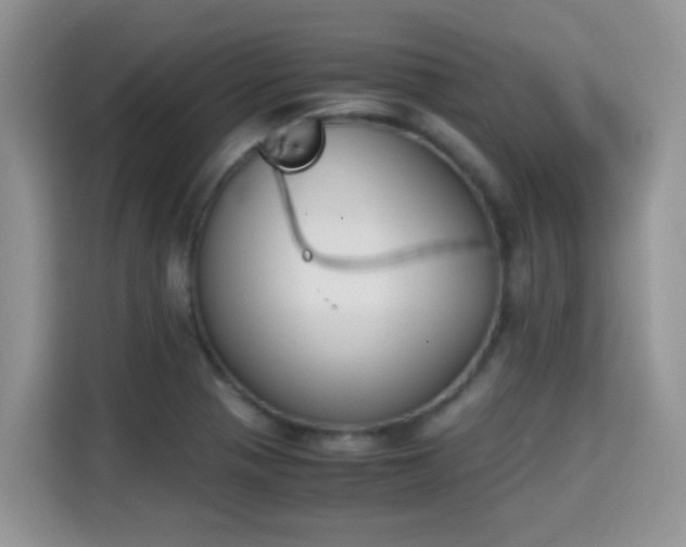 X0000115301321200911091004