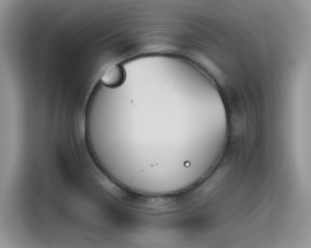 X0000115301322200911091004