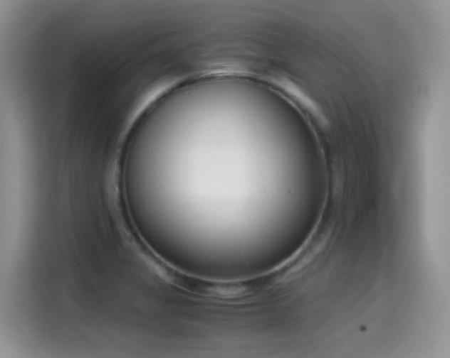 X0000115301325200911091004