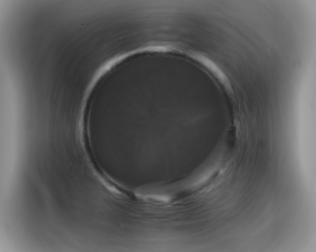 X0000115301327200911091004