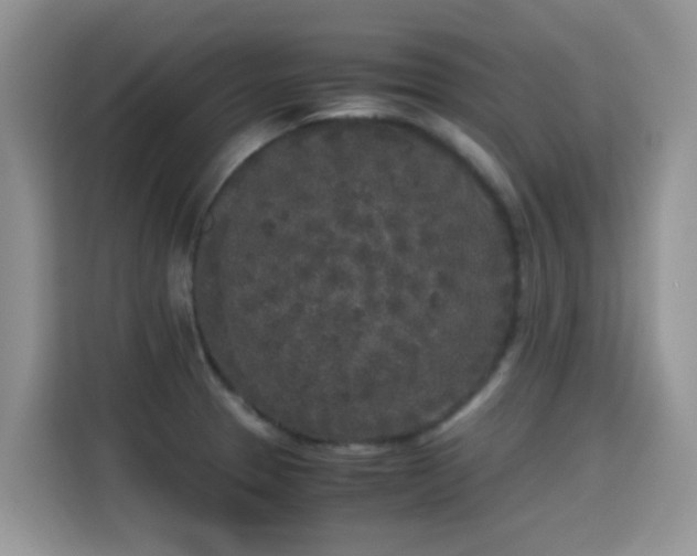 X0000115301329200911091004
