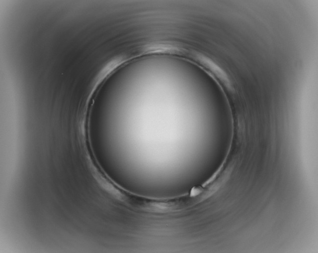 X0000115301330200911091004