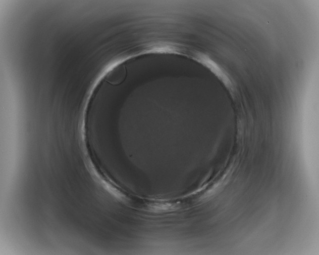 X0000115301331200911091004