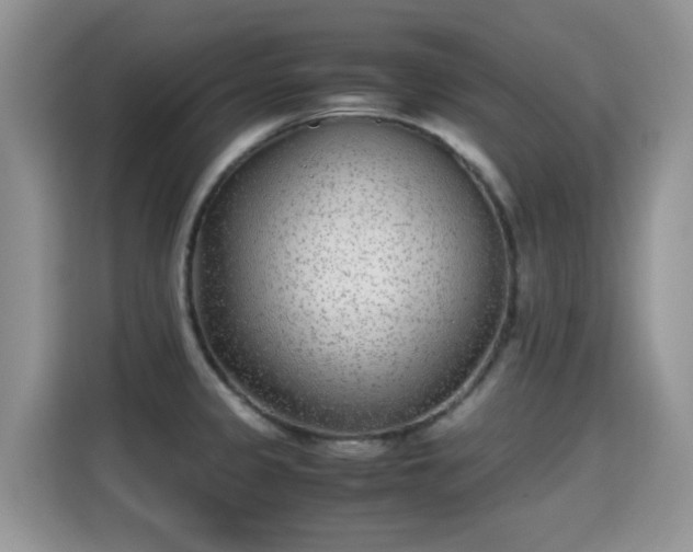X0000115301333200911091004
