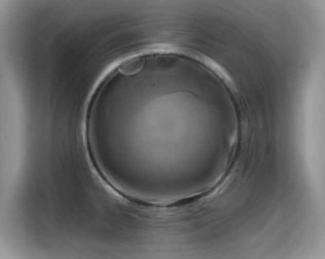 X0000115301334200911091004
