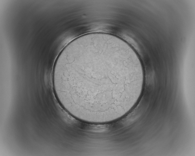 X0000115301338200911091004