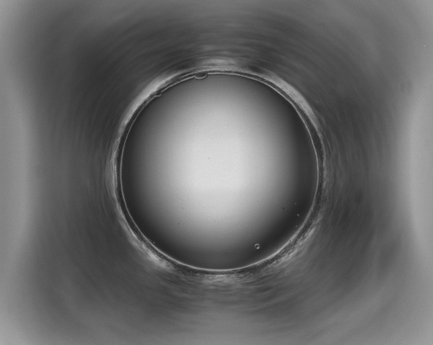 X0000115301341200911091004
