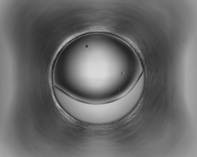 X0000115301342200911091004
