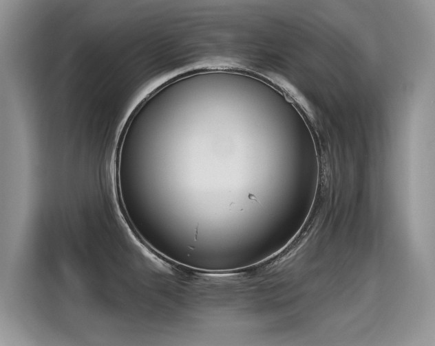 X0000115301343200911091004