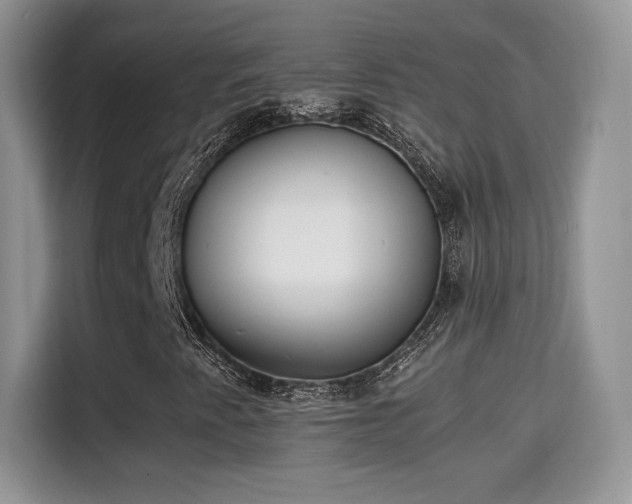 X0000115301345200911091004