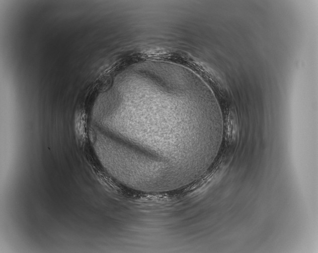X0000115301346200911091004
