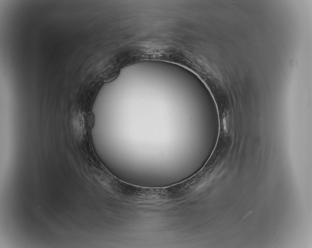 X0000115301347200911091004