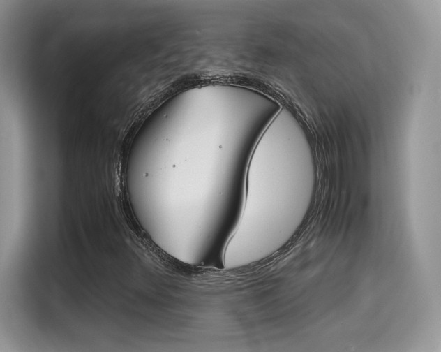 X0000115301348200911091004