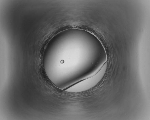 X0000115301349200911091004