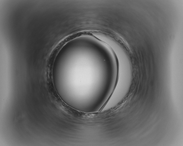 X0000115301352200911091004