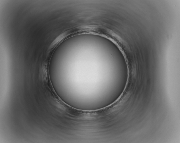 X0000115301354200911091004