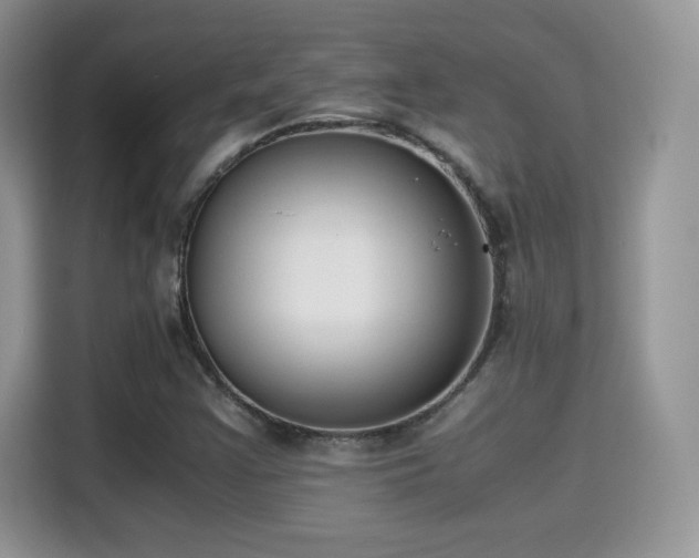 X0000115301355200911091004