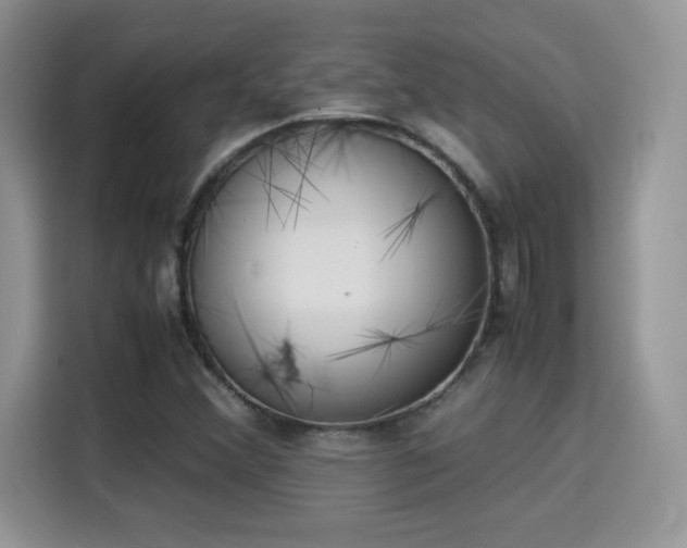 X0000115301356200911091004