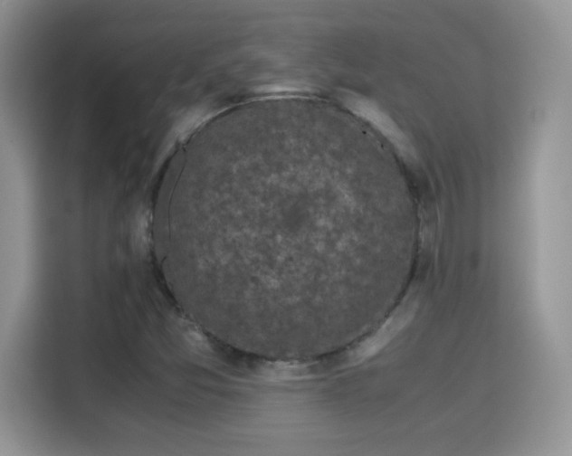 X0000115301357200911091004